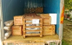 Commercial Moving Services