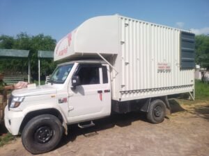 Pet Transport Services